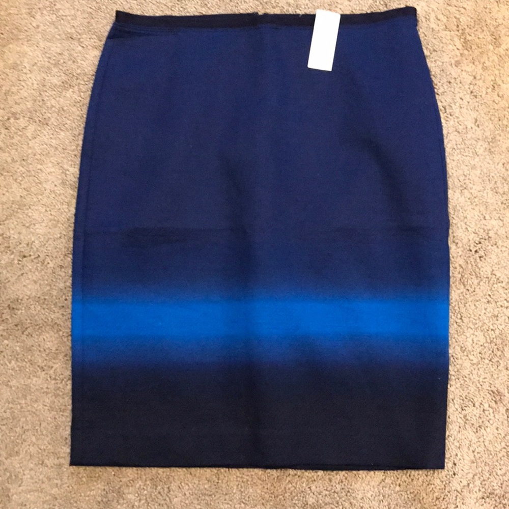 Loft Blue Ombré skirt